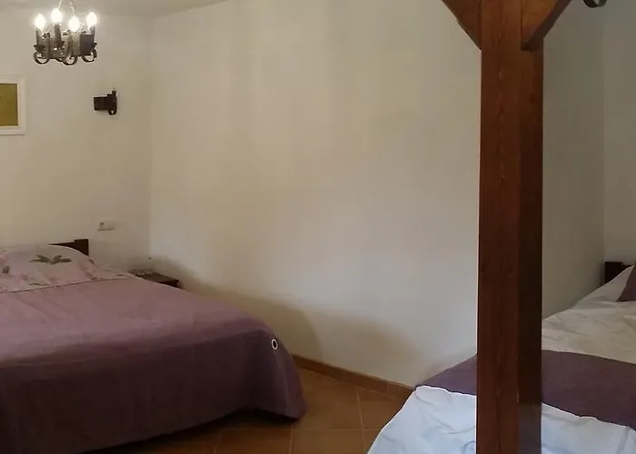 Gospodarstwo wiejskie Club *